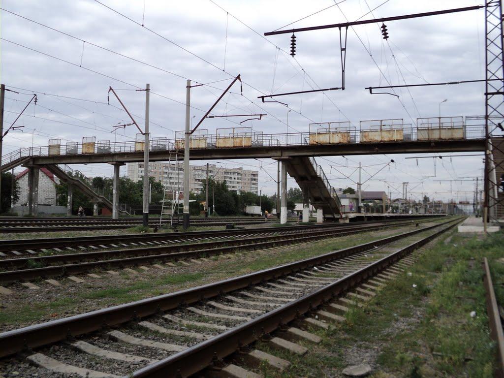 Вишневе з panoramio.com - Вишневе
