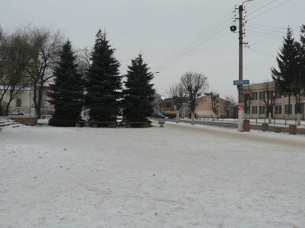 Копичинці з panoramio.com - Копычинцы