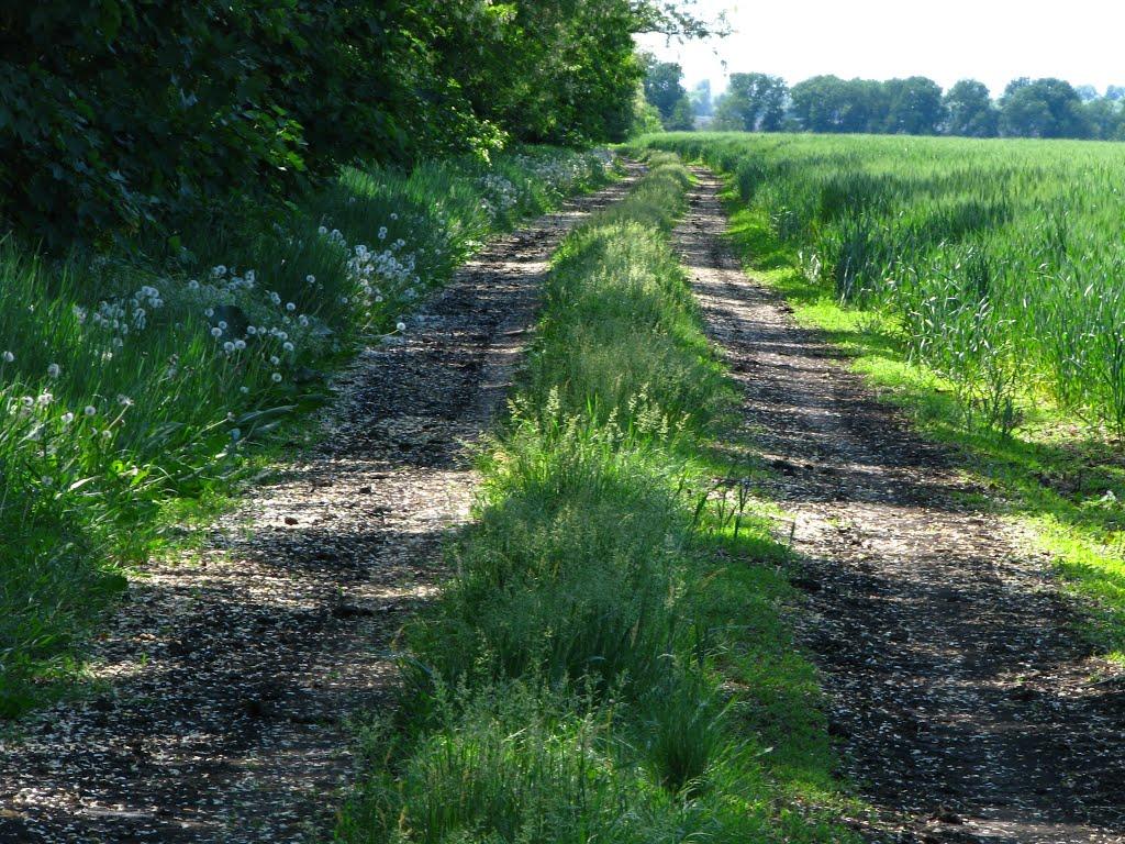 Першотравенськ з panoramio.com - Першотравенск