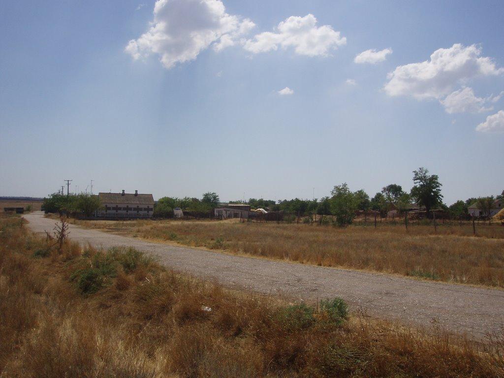 Дозорне з panoramio.com - Дозорное