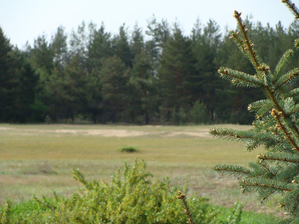 Гарасимівка з panoramio.com - Гарасимовка