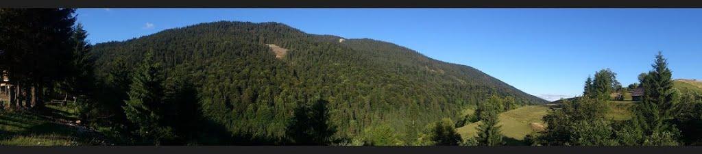 Стригальня з panoramio.com - Стригальня