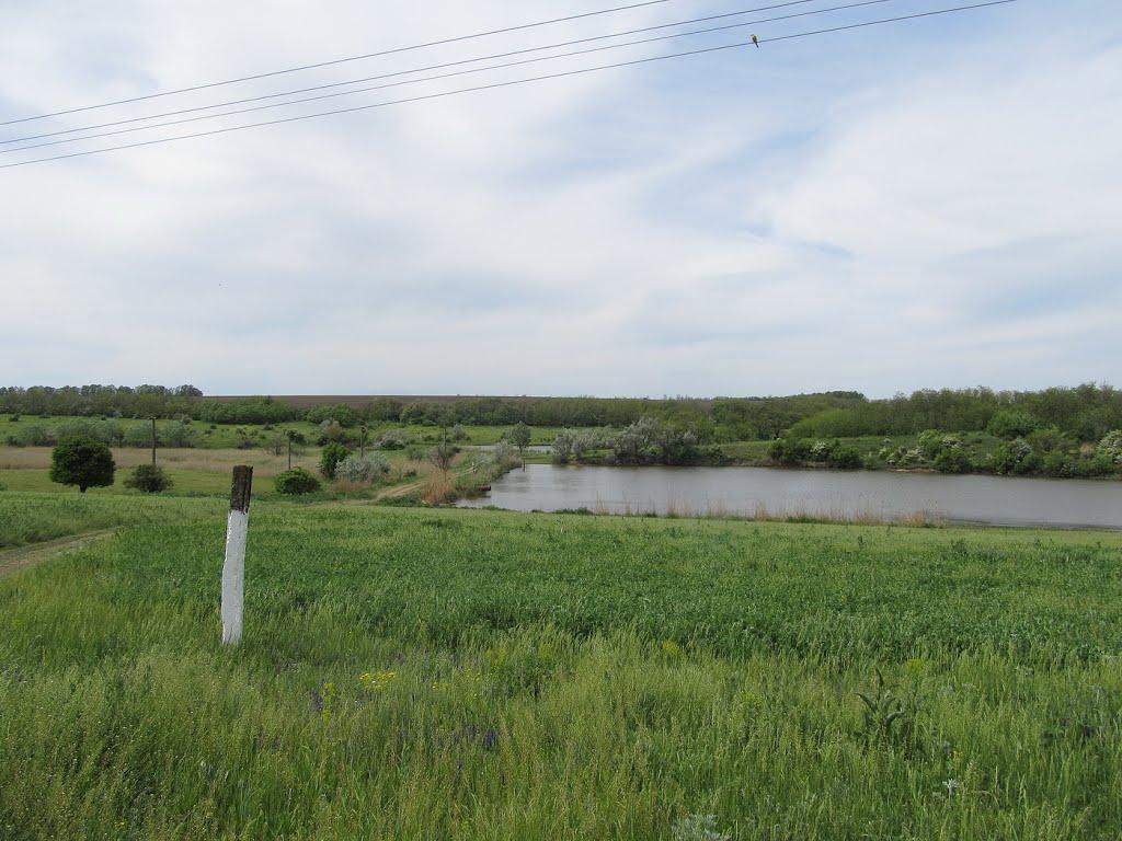 Чигринівка з panoramio.com - Чигринівка