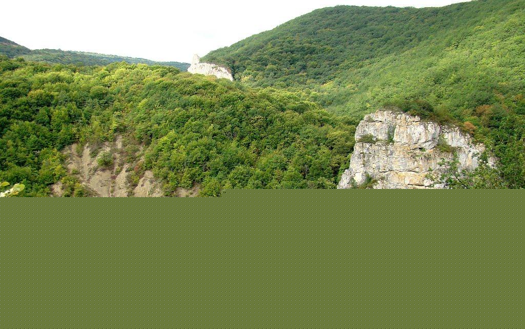 Троїцьке з panoramio.com - Троїцьке