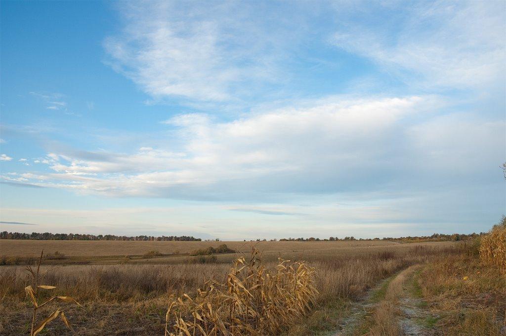 Хижинці з panoramio.com - Хижинці