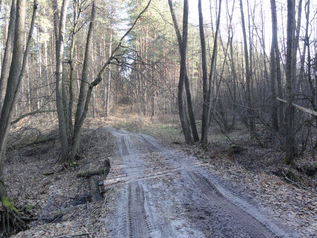 Тетерівка з panoramio.com - Тетеревка