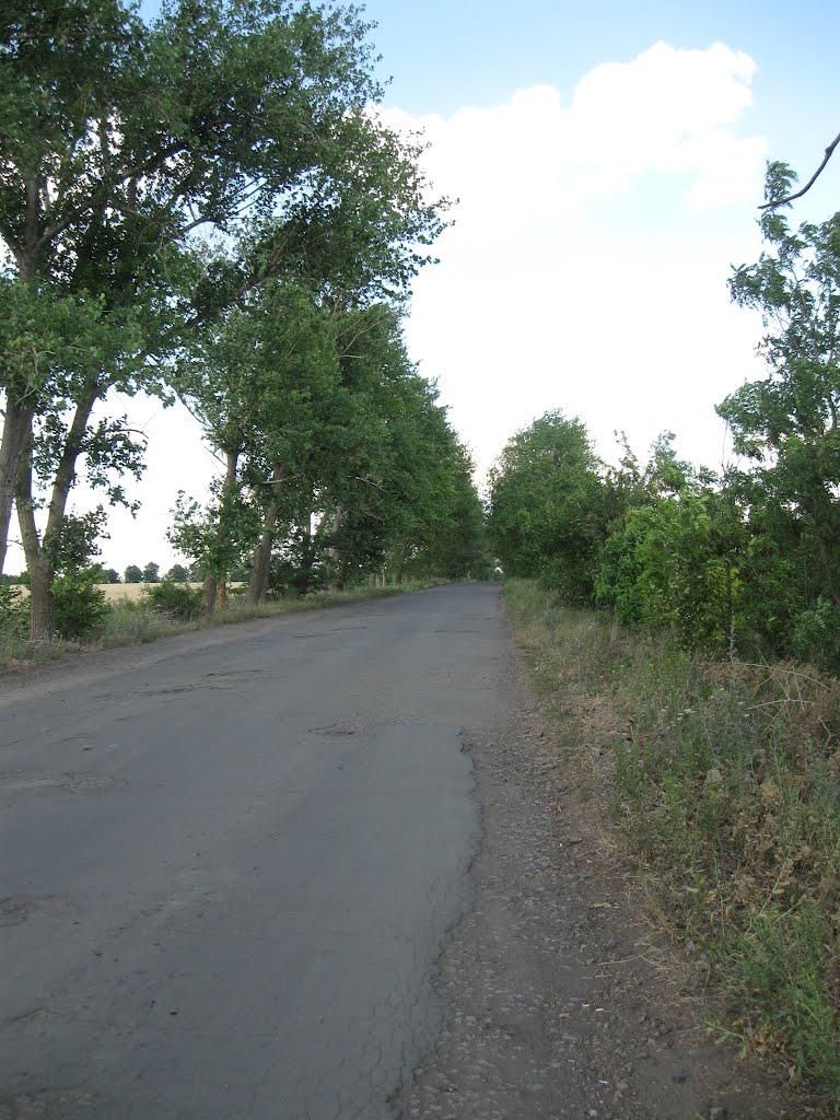 Панкратове з panoramio.com - Панкратове