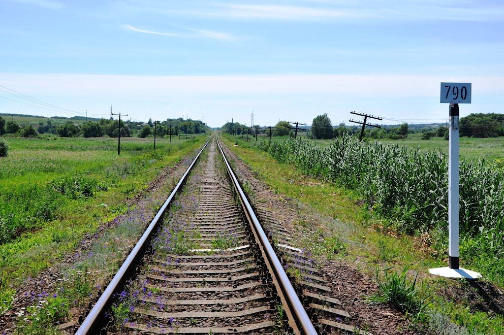 Троїцьке з panoramio.com - Троїцьке