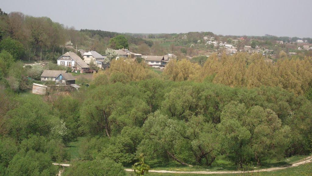 Блищанівка з panoramio.com - Blyschanivka