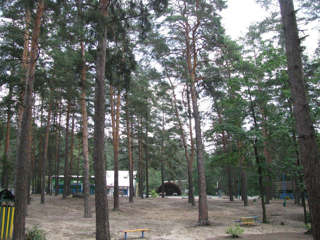 Богородичне з panoramio.com - Богородичное