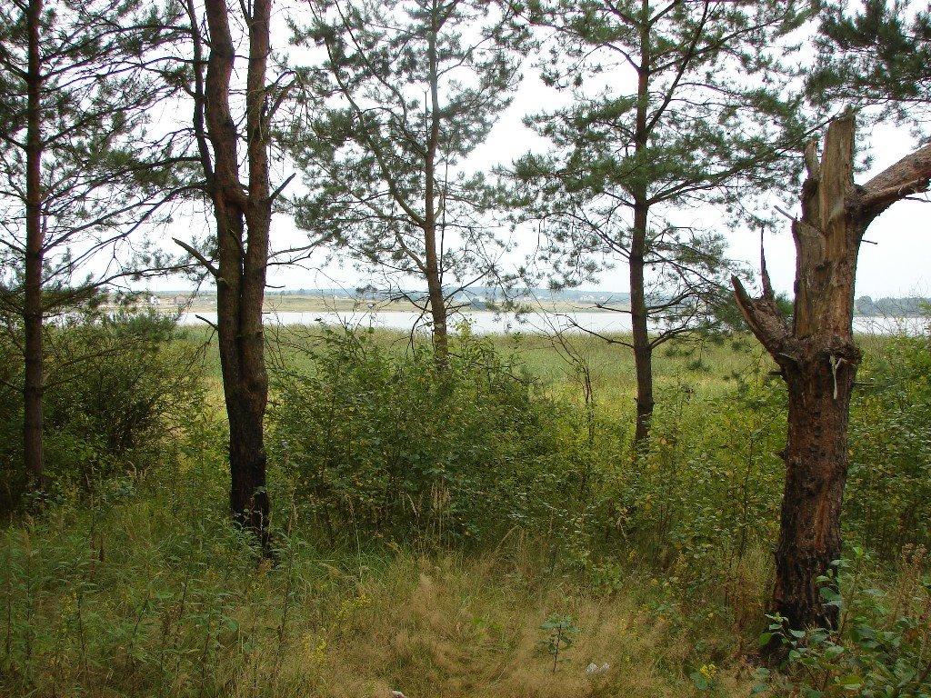 Щеплоти з panoramio.com - Щеплоты