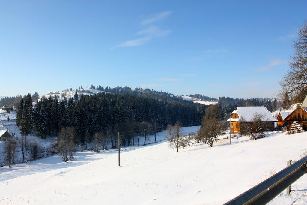 Вороненко з panoramio.com - Вороненко