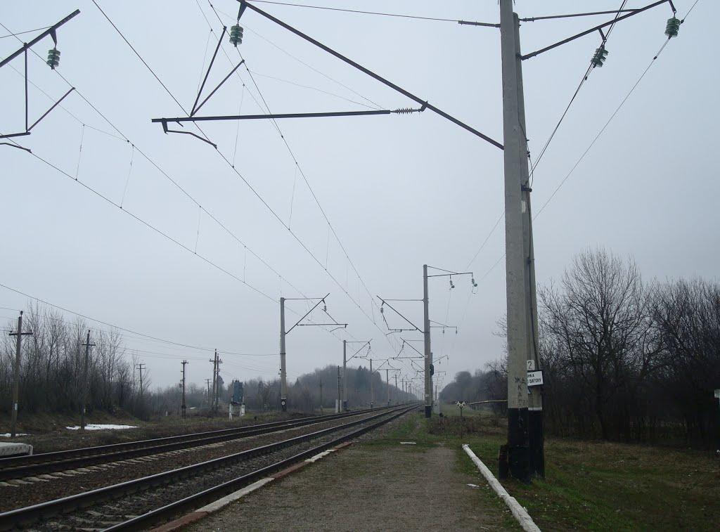 Стодульці з panoramio.com - Стодульці