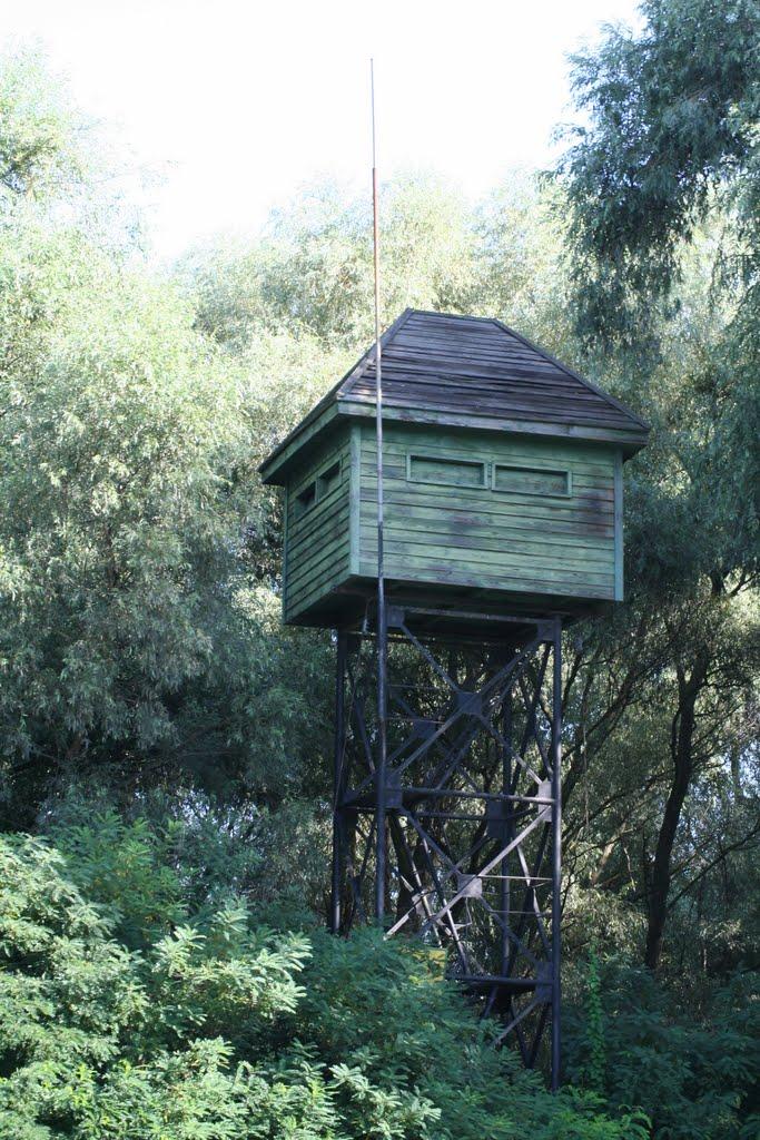 Дунайське з panoramio.com (ч.2) - Дунайское