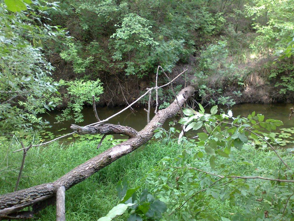 Дронівка з panoramio.com - Дроновка
