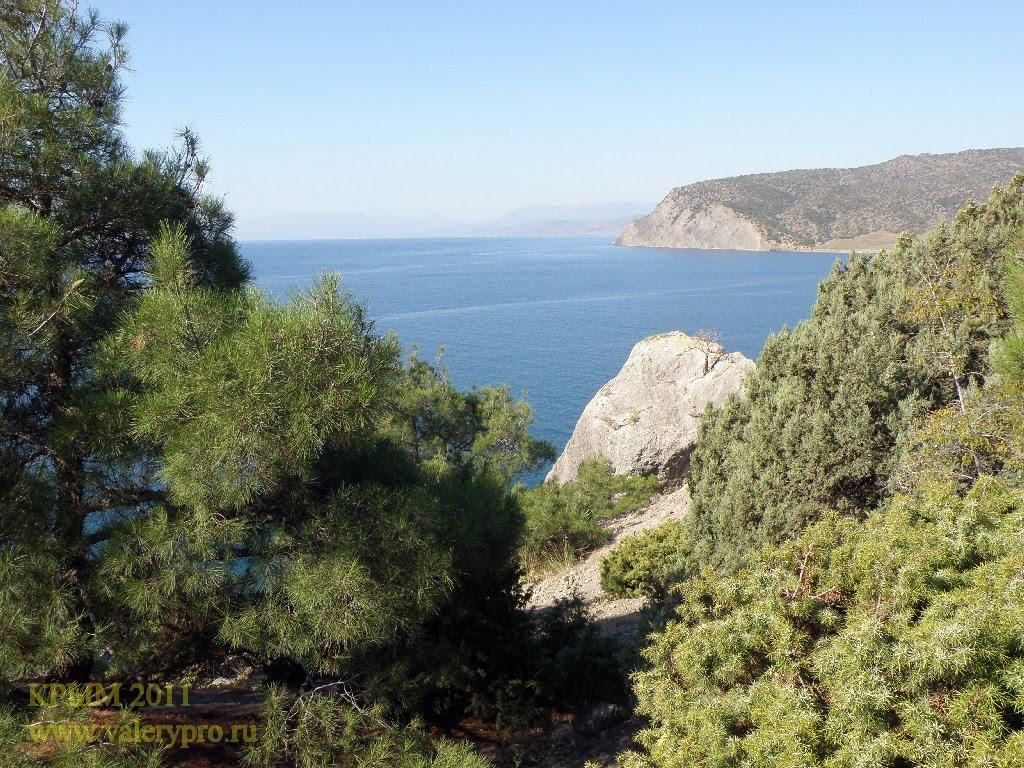 Долина з panoramio.com - Долина