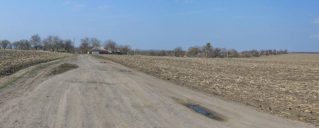 Северинівка з panoramio.com - Северинівка