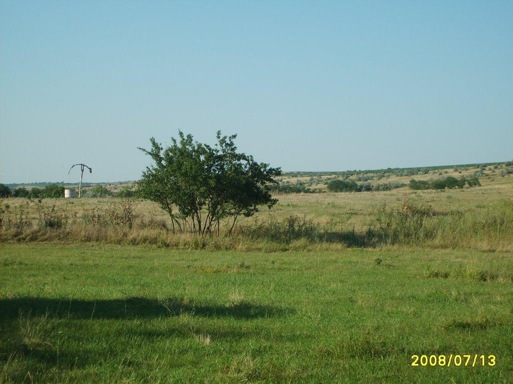 Сухувате з panoramio.com - Сухувате