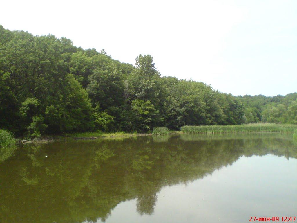 Оникієве з panoramio.com - Оникієве