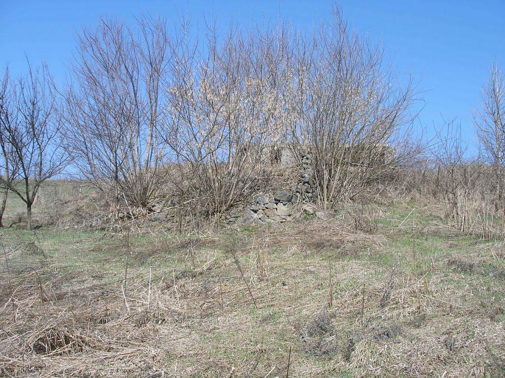 Зарванці з panoramio.com - Зарванці