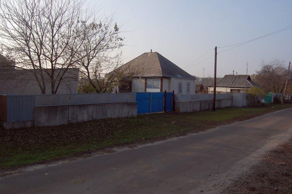 Осколонівка з panoramio.com - Осколонівка