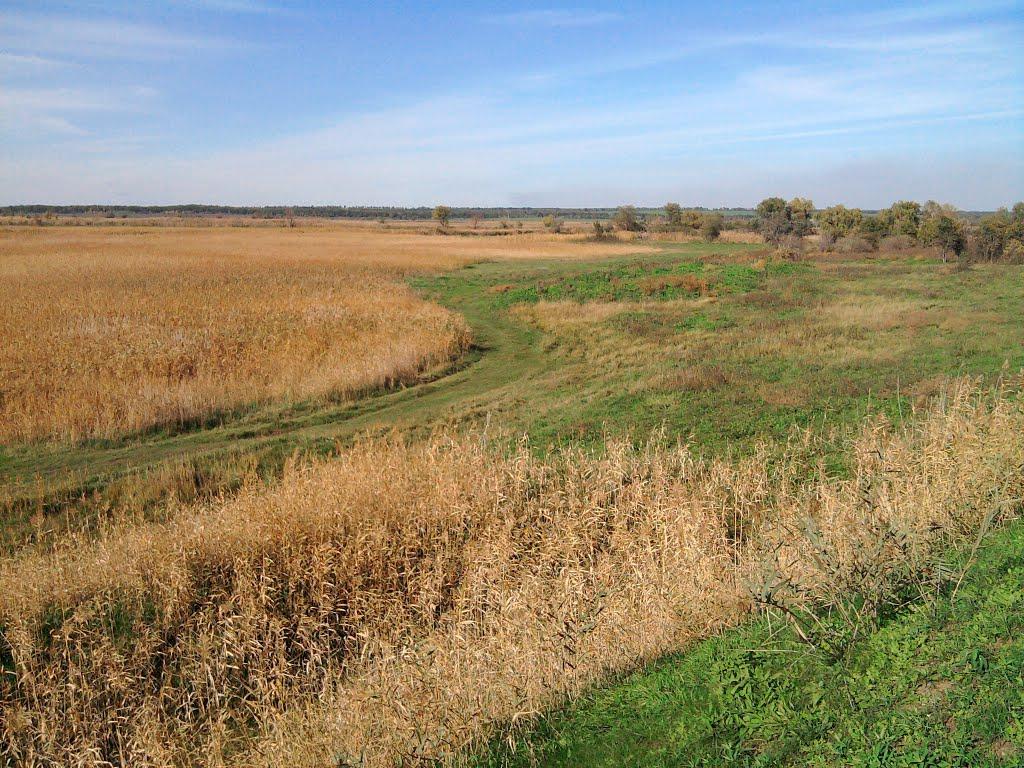 Жданове з panoramio.com - Жданове