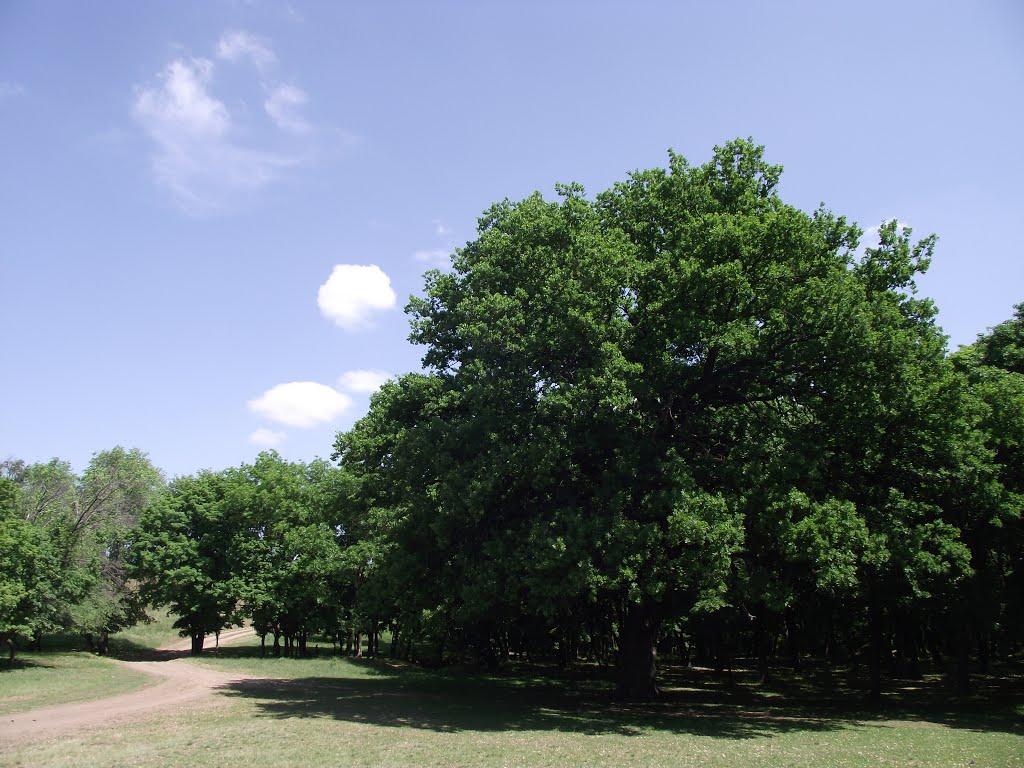 Провалля з panoramio.com - Провалля