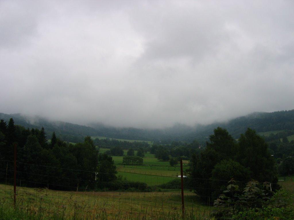 Мшанець з panoramio.com - Мшанець