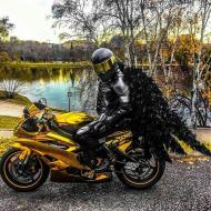 Осколонівка з panoramio.com - Осколонівка