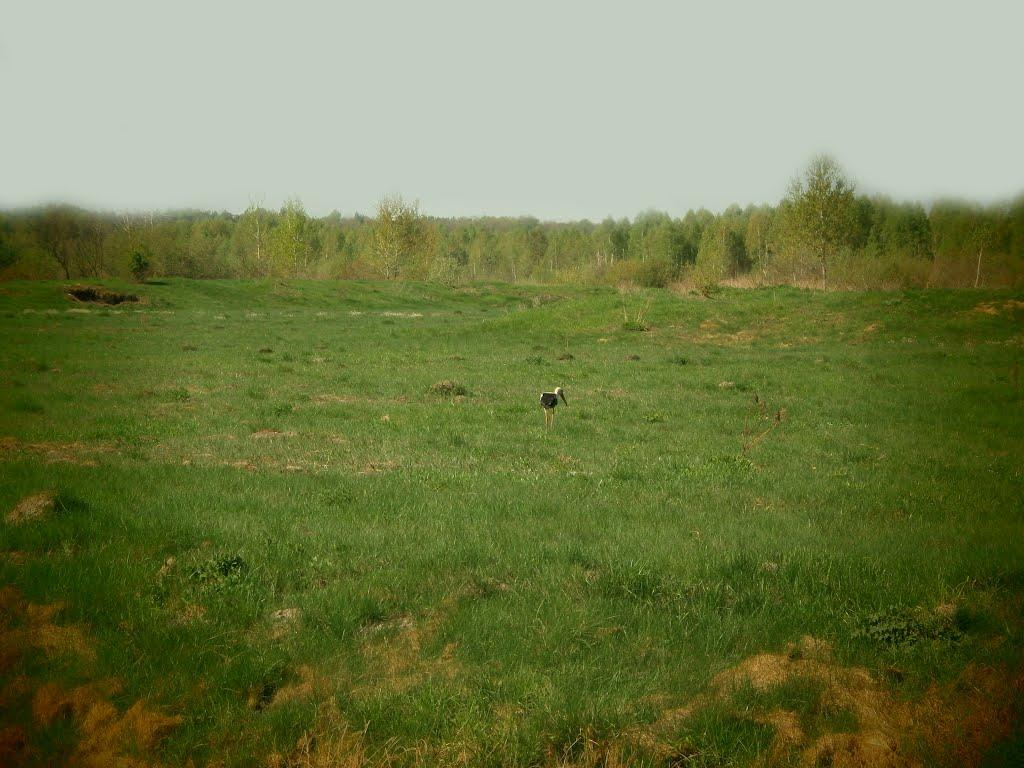 Турійськ з panoramio.com - Турійськ