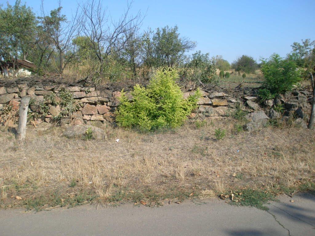 Синюхин Брід з panoramio.com - Синюхин Брід