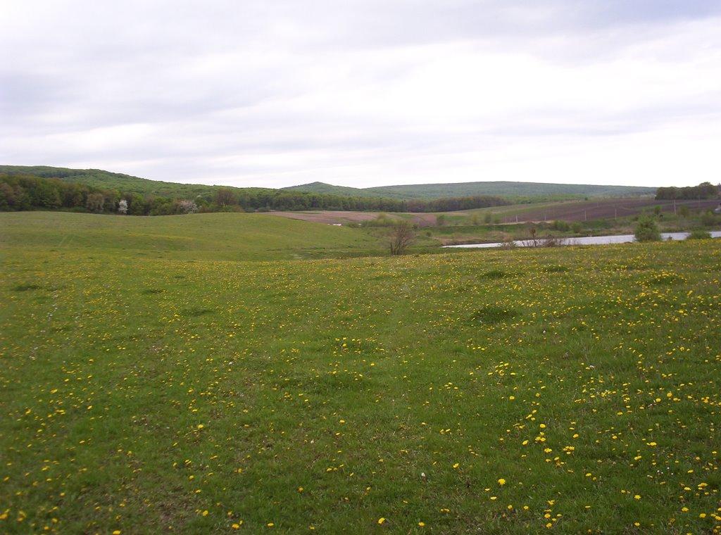 Чорнівка з panoramio.com - Чорнівка