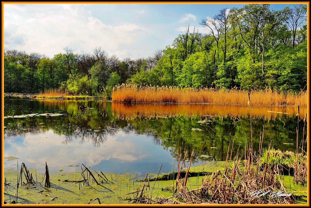 Серебрянка з panoramio.com - Серебрянка
