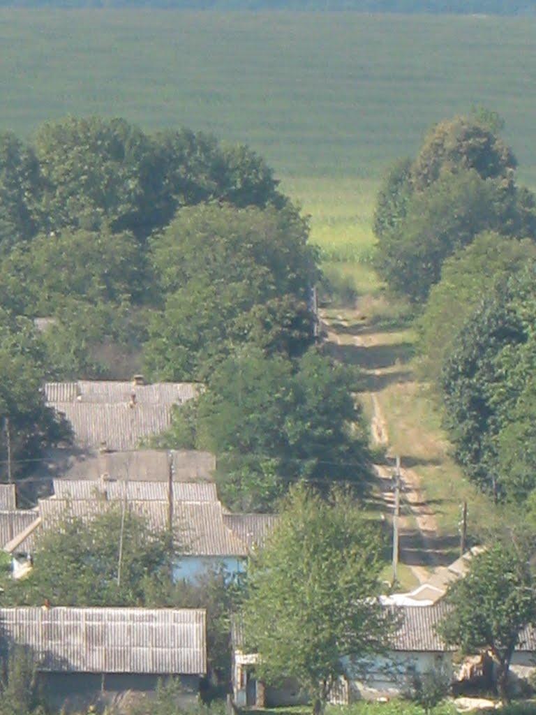 Северинівка з panoramio.com - Severynivka