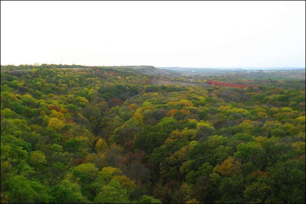 Котовського з panoramio.com - Котовського