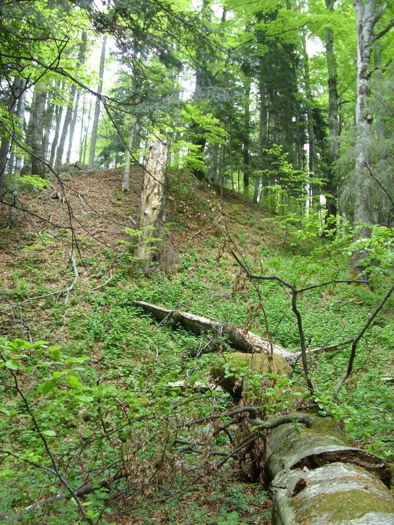 Фальків з panoramio.com (ч.2) - Фальків