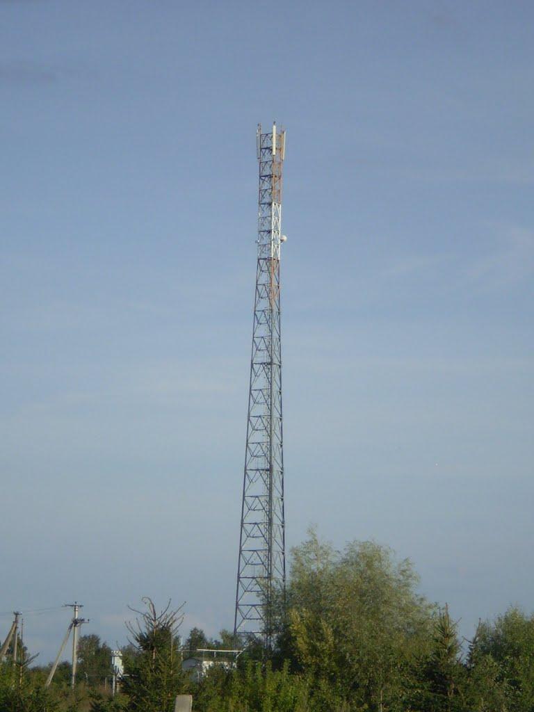 Грибенинка з panoramio.com - Грибенинка