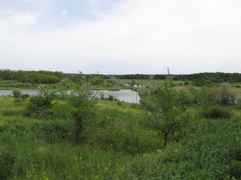 Чигринівка з panoramio.com - Чигринівка