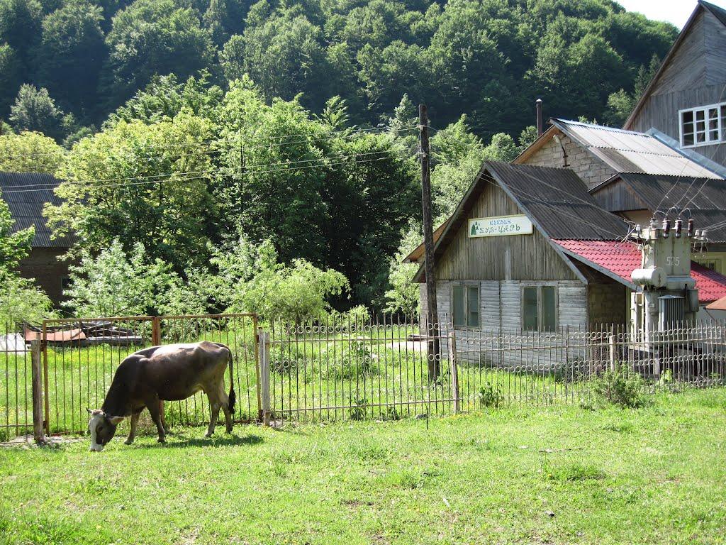 Вільшани з panoramio.com - Vilshany