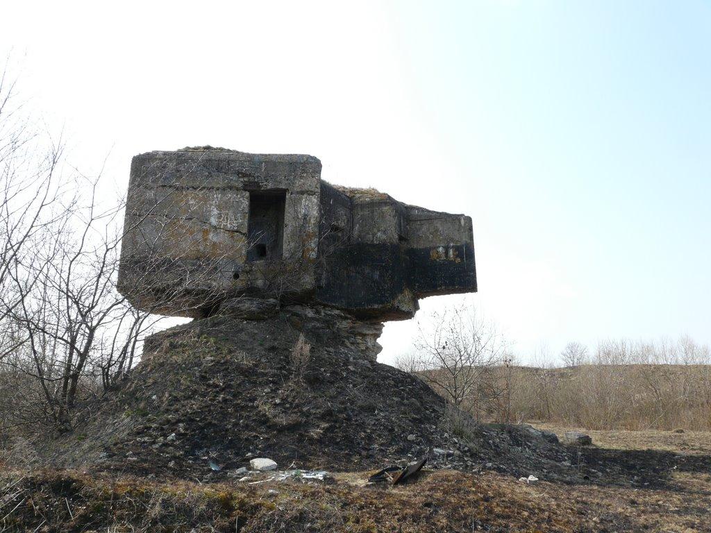 Нижнє з panoramio.com - Nyzhnye