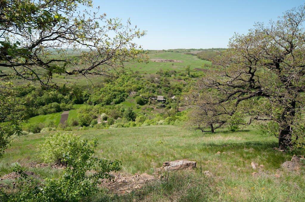 Селезнівка з panoramio.com - Селезневка