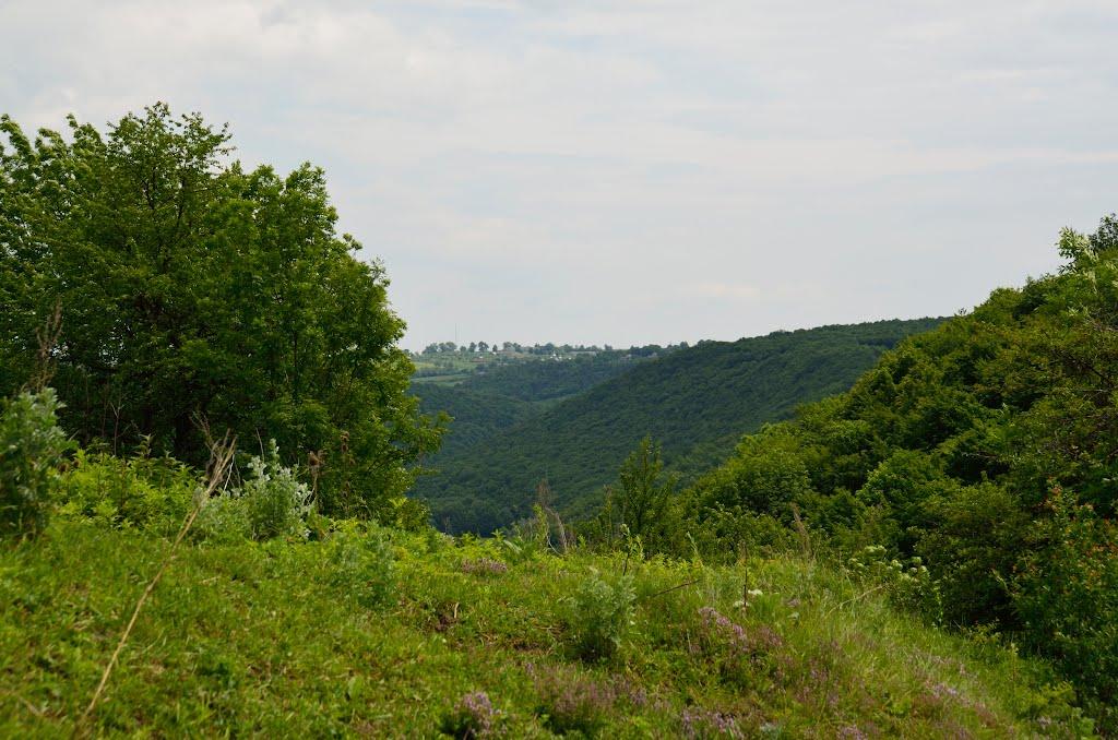 Русилів з panoramio.com - Rusyliv