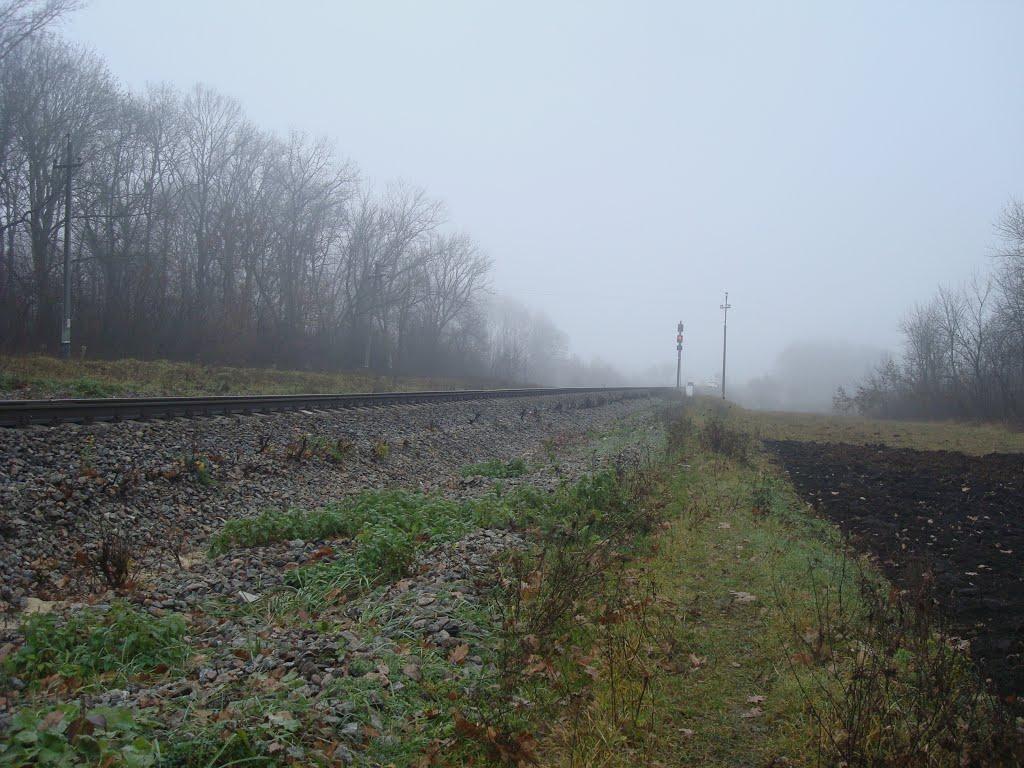 Томашівка з panoramio.com - Томашівка