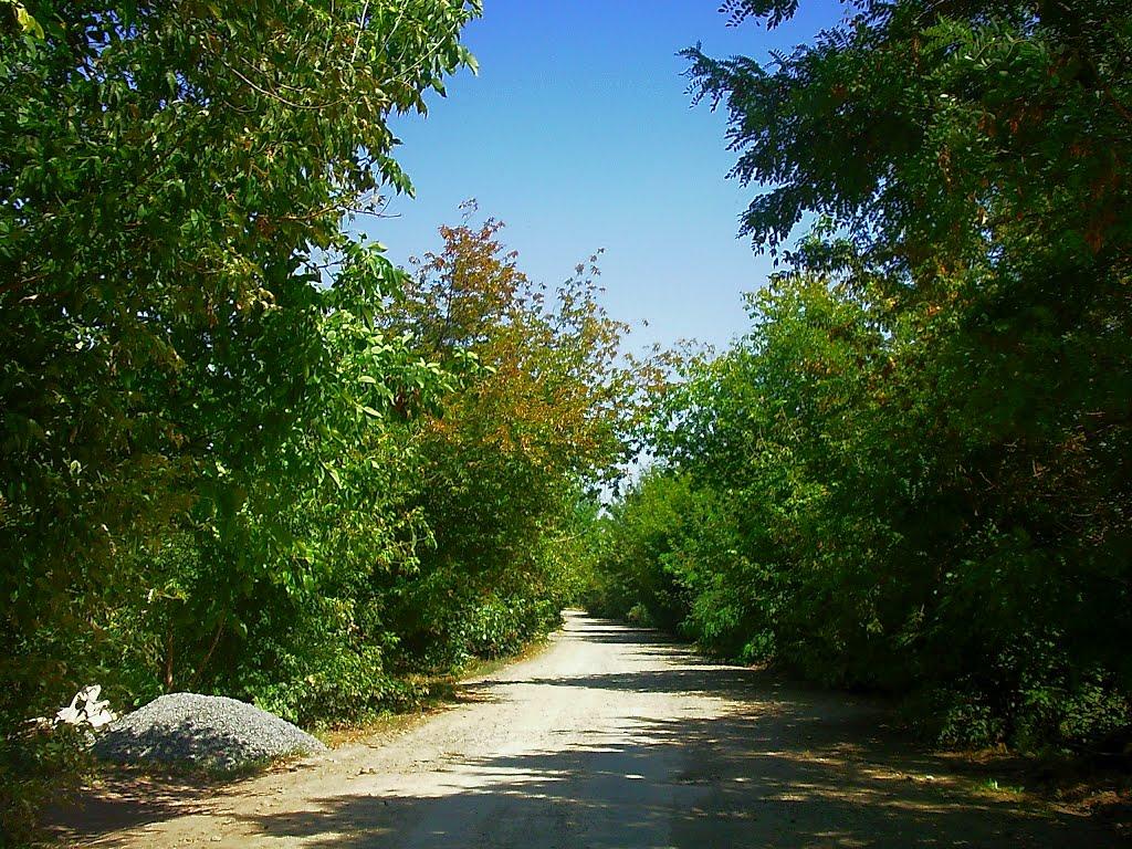 Поштове з panoramio.com - Поштове