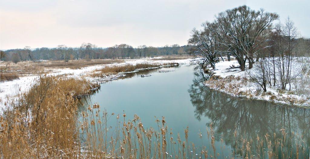 Огірцеве з panoramio.com - Огірцеве