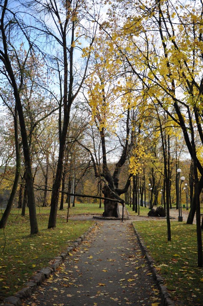 Корсунь-Шевченківський з panoramio.com - Корсунь-Шевченковский