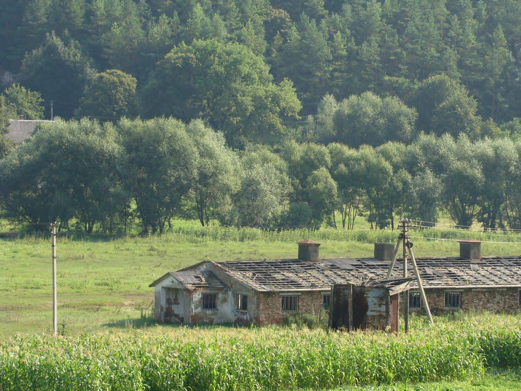 Братишів з panoramio.com - Братишів