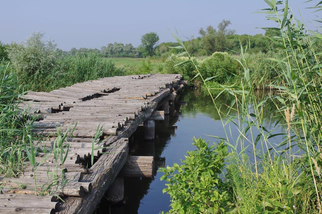 Кицівка з panoramio.com - Кицівка