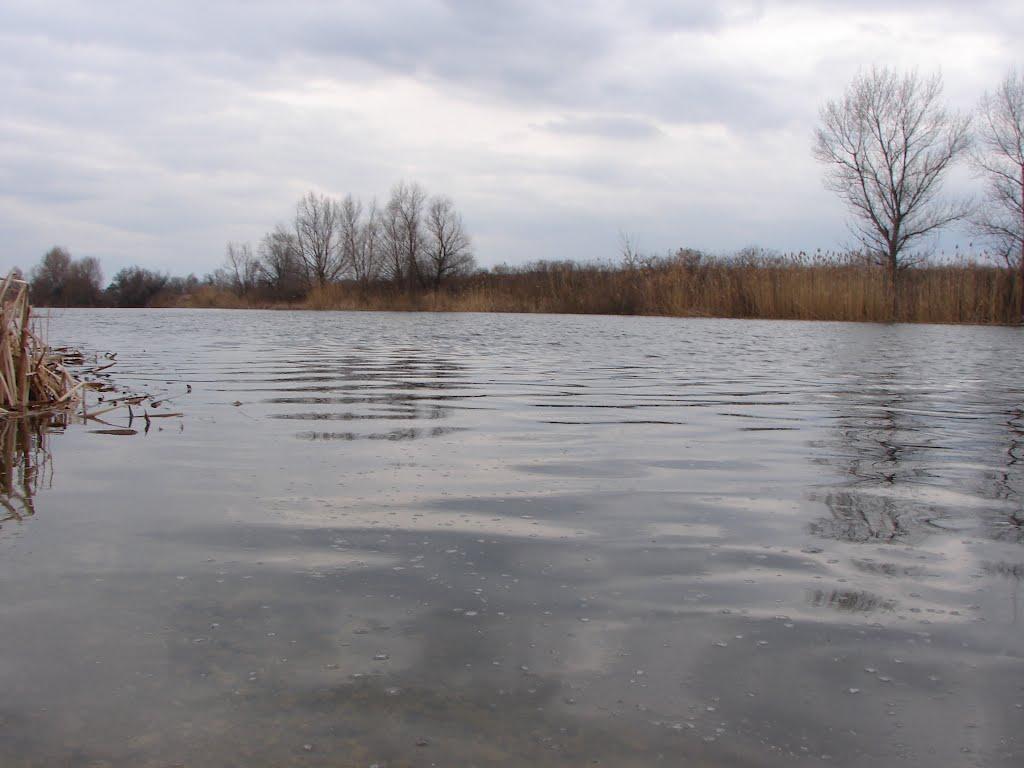 Балівка з panoramio.com - Balivka