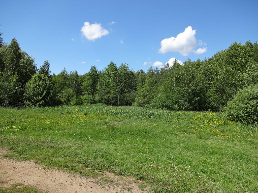 Курганці з panoramio.com - Курганцы